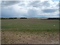 Coastal crop field, Little Oakley