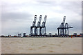 TM2732 : Cranes at Felixstowe Dock by Robert Eva