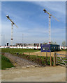 Two more cranes on the Cambridge Biomedical Campus