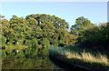 Canal near Calf Heath in Staffordshire