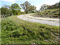 Bend on gravel track near Balcombe Lane