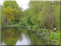 Fishing pond, St Helens Canal, Sankey Valley