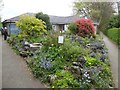 Small garden in Borough Park, Totnes