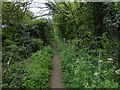 Path to Beechwood Avenue in Leicester Forest East