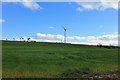 Green below the Turbine