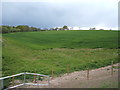 Crop field south of Bradfield