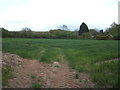 Crop field near Pond Hall