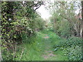 Footpath off Tendring Road, Thorpe Green