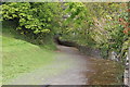 Path down to Mwldan, Cardigan