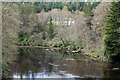 River Spean, downstream