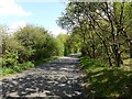 Lane near Trottsford Farm