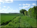 Footpath beside Little Welnetham Hall