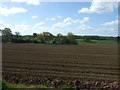 Furrowed field, Little Welnetham 