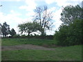 Grazing and pond, Bradfield St. George