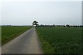 Bridleway to Tank Houses