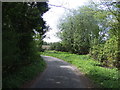 Minor road heading south from Hill Farm