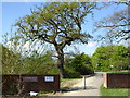 Entrance to Tanbridge House Nature Meadow