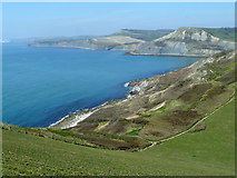 SY9575 : Coast west of St. Aldhelm's Head by Robin Webster