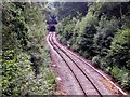 Northern end of the Ore tunnel in Coghurst Wood