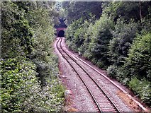 TQ8312 : Northern end of the Ore tunnel in Coghurst Wood by Patrick Roper
