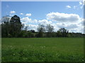 Farmland near Popples Farm