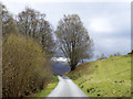 Road in Glen Roy heading south