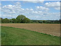 TL9847 : Field, Chelsworth Common by JThomas