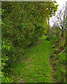 SD4003 : Footpath between St Mary's Church and Mossock Hall Farm, Aughton by Gary Rogers