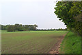 Path between Graveyard Farm and Moor Hall Farm, Aughton