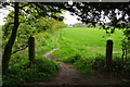 Path from Moor Hall Farm to Boundary Plantation, Aughton