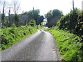 H3183 : Cavandarragh Road, Cavandarragh by Kenneth  Allen
