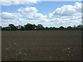 Field near Newhouse Farm