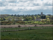 TG0244 : Blakeney Village and Church as seen from Footpath by River Glaven, Blakeney, Norfolk by Christine Matthews