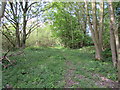 Line of former Pilmoor Tile and Brick Works tramway