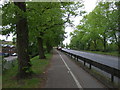 Cycle path beside Cowdray Avenue, Colchester