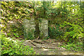 Building remains, Plymbridge Woods