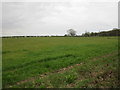 Field alongside Weston Road