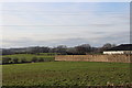 Fields at Auchans