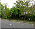 Hurst Road bus stop, East Molesey