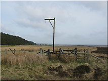 NY9690 : Winter's Gibbet, Steng Cross by G Laird