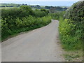 Hedge lined road near Treworthen Farm