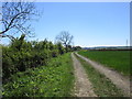 Farm track and Sleights Farm