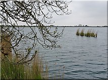 TA0423 : Pelican Pond, Barton-upon-Humber, Lincolnshire by Bernard Sharp