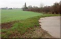 Field boundary near Rectory Farm