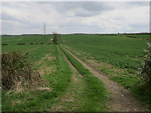 TL3062 : Fields and pylon by Hugh Venables