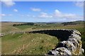 Sheepfold near Blakeman