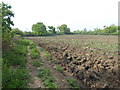 Ploughed up field