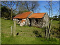 Ruined farm dwelling, Aghnamirigan