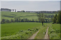 Towards Birdsall Brow