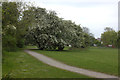 Recreation ground looking towards Pinewood Close